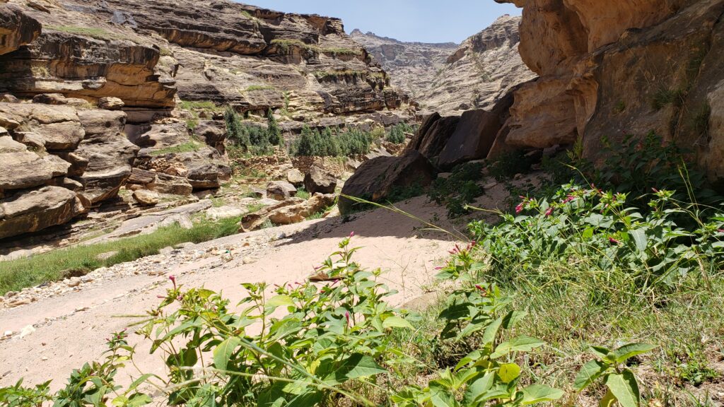 جزء من وادي غزوان(النداء)