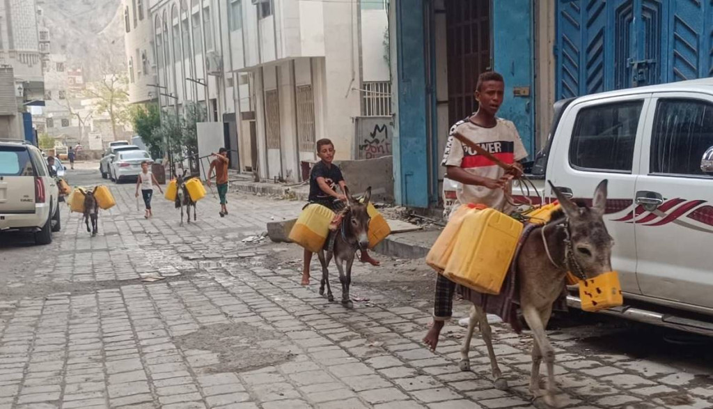 مشاريع غائبة وخدمات مفقودة.. المواطنون ينقلون المياه على ظهور الحمير في عدن