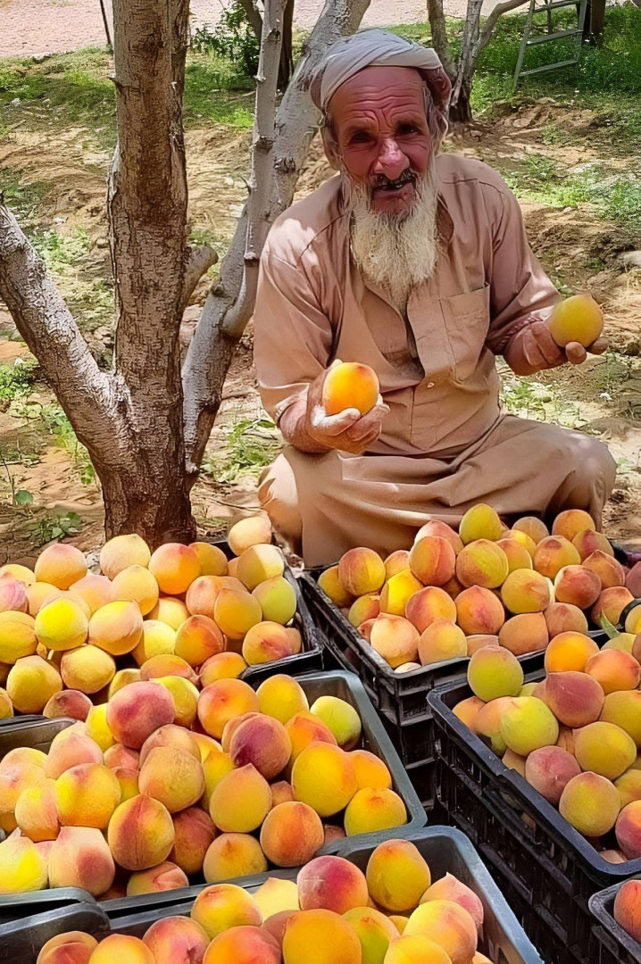 مُسن يبيع الفرسك ( منصات التواصل)